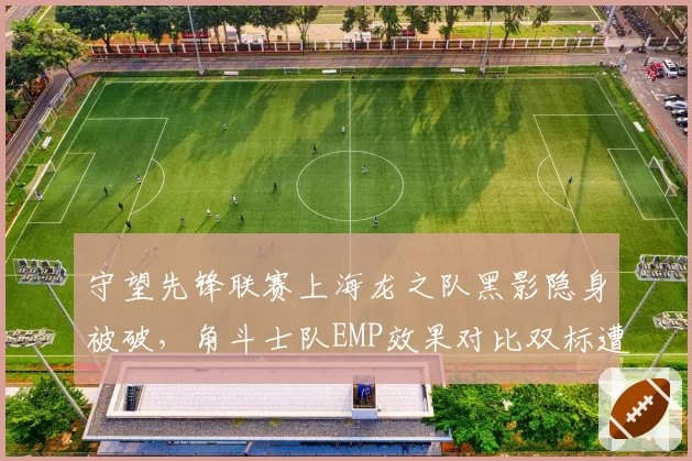 守望先锋联赛上海龙之队黑影隐身被破，角斗士队EMP效果对比双标遭粉丝爆破